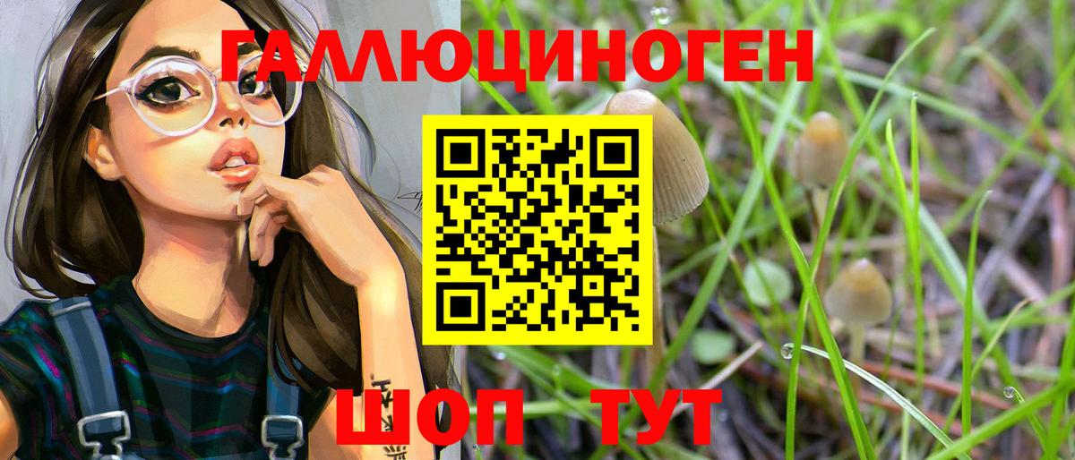 Псилоцибиновые грибы Psilocybine cubensis Алатырь