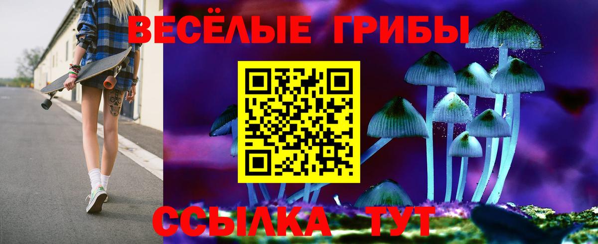 Галлюциногенные грибы Magic Shrooms  Галлюциногенные грибы Magic Shrooms  Вход с VPN  Алатырь 